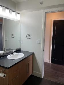Downtown One-Bedroom with In-Suite Laundry and Parking Included - Photo 10