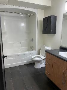 Downtown One-Bedroom with In-Suite Laundry and Parking Included - Photo 11