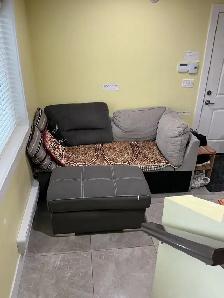 ROOM SHARE AVAILABLE JUNE 1st - Photo 6