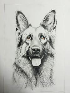 Custom Artwork