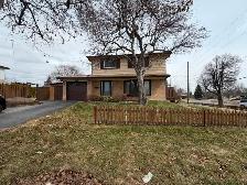 Exceptional Opportunity in Georgetown!