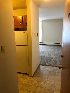 2 Bedroom Suite - ALL Utilities Included - Great Location - Photo 2