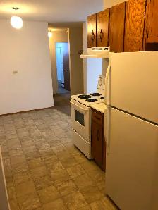 2 Bedroom Suite - ALL Utilities Included - Great Location - Photo 3