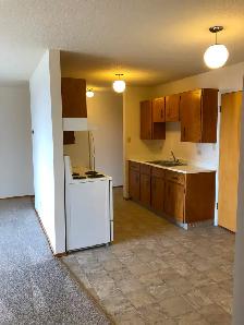 2 Bedroom Suite - ALL Utilities Included - Great Location - Photo 4