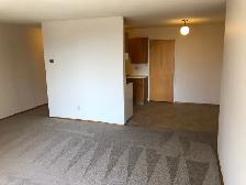 2 Bedroom Suite - ALL Utilities Included - Great Location - Photo 9