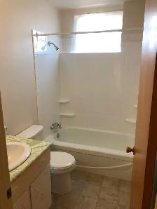 2 Bedroom Suite - ALL Utilities Included - Great Location - Photo 12