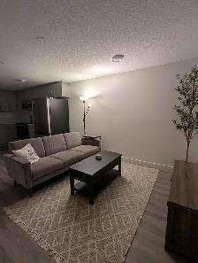 MODERN Legal Basement Suite for rent – Spruce Grove (Easton) - Photo 4