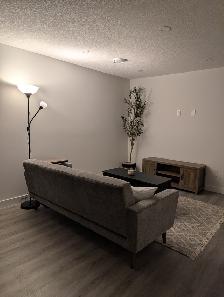 MODERN Legal Basement Suite for rent – Spruce Grove (Easton) - Photo 5