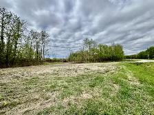 1.47 Ac treed land for sale. Shil Shol - Rural Sturgeon County. - Photo 2