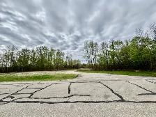 1.47 Ac treed land for sale. Shil Shol - Rural Sturgeon County. - Photo 4