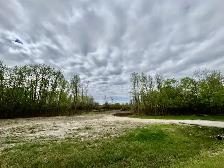 1.47 Ac treed land for sale. Shil Shol - Rural Sturgeon County. - Photo 6
