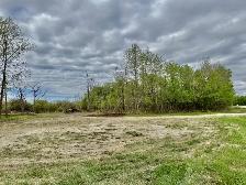 1.47 Ac treed land for sale. Shil Shol - Rural Sturgeon County. - Photo 7