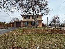 Exceptional Opportunity in Georgetown! - Photo 2