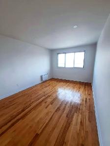Grand 5 ½ - Rénové (1345 pieds carrés) (Saint-Léonard/Montréal) - Photo 4