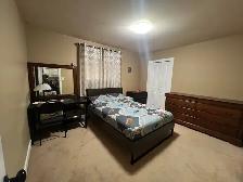 TWO BEDROOM BASEMENT AVAILABLE IN JUNE - Photo 2
