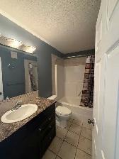 Home for Rent - Red Deer AB - Photo 20