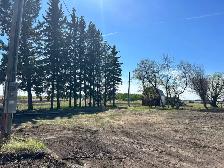 Acreage for sale - Photo 4
