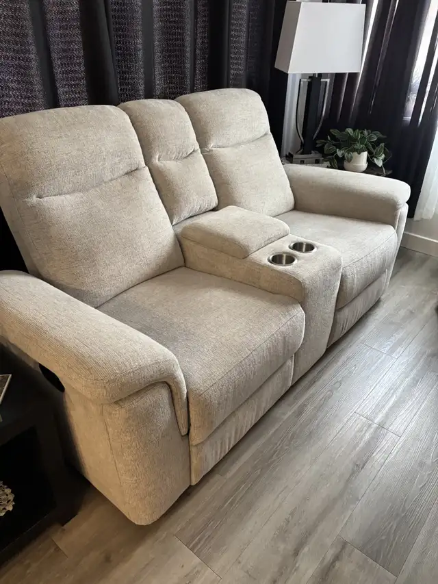 Reclining Fabric Love Seat
