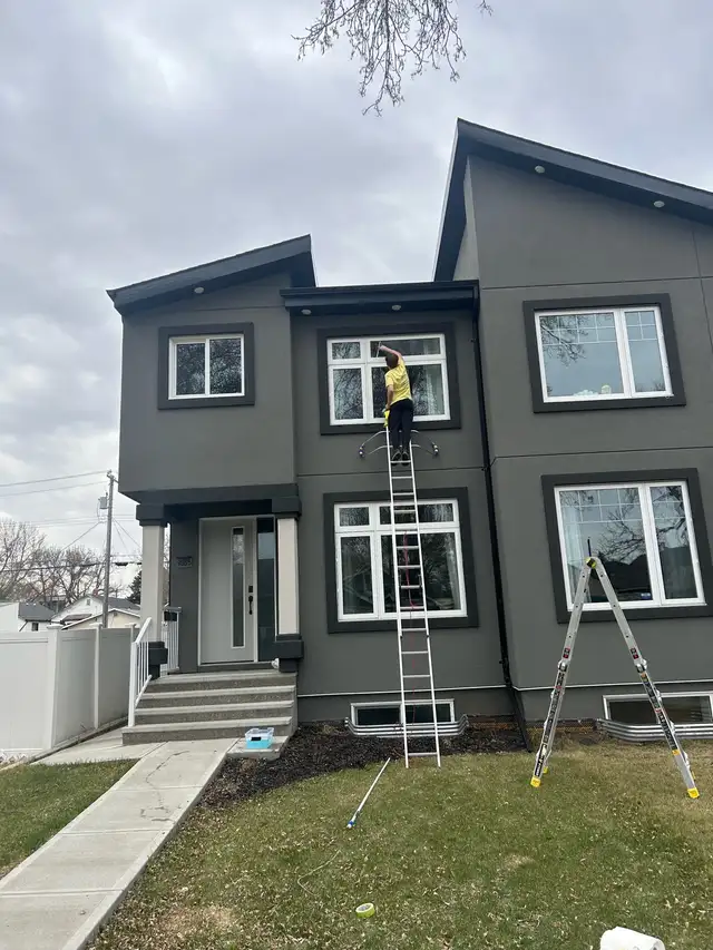 Profesional Window & Gutter Cleaning