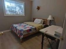 Bright, cozy and quiet private room available - Photo 5