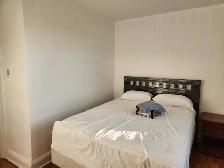1BHK Fully Furnished Unit- Kingston road - Photo 2