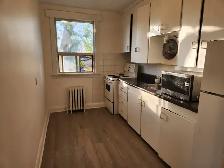 1BHK Fully Furnished Unit- Kingston road - Photo 6