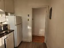 1BHK Fully Furnished Unit- Kingston road - Photo 7