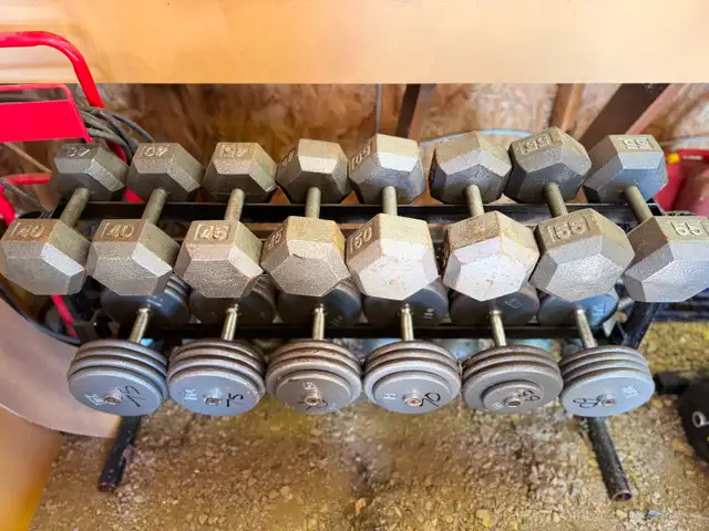 Metal dumbbells