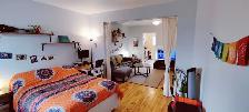 Joli 3 ½, Métro Laurier, PLATEAU MONT-ROYAL, 1er juin,1305$/mois - Photo 4