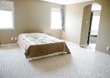 2600 sqft 4 Bed   Den / 3.5 Bath Home in MacTaggart - Photo 7