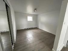 Lanaudière, 3 1/2 avec garage, libre maintenant - Photo 3
