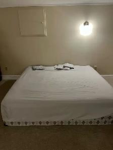 Room available Short  term rent - Photo 2