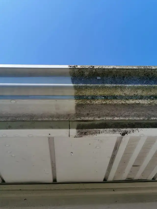 Revival Cleaning Solutions