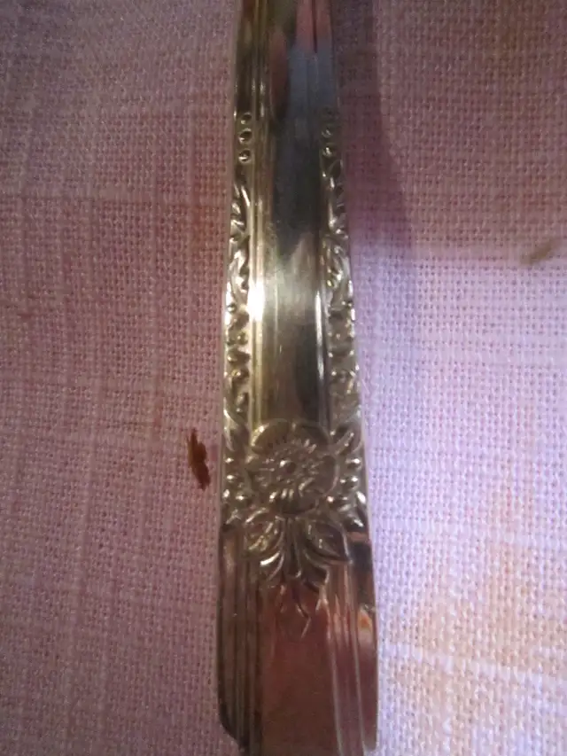 #69A   L A ROSE silverware set for 8