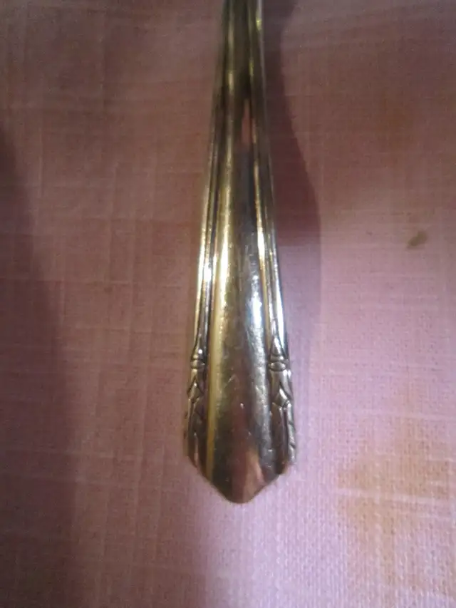 #67-79D  MALIBU silverware set for 8