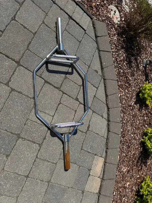 Weight plates and easy curl bar and trap bar