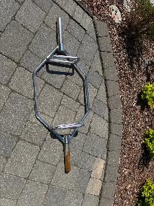 Weight plates and easy curl bar and trap bar