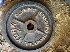 Weight plates and easy curl bar and trap bar - Photo 4