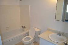 Two Bedroom Apartments - Tranby at Lauzon Road - Photo 2