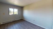 Two Bedroom Apartments - Tranby at Lauzon Road - Photo 7