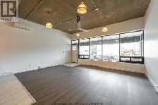 Rare Find! Spacious, stunning renovated LOFT - Photo 13