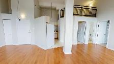 Large One Bedroom  - Downtown - Dundas Street - Photo 3