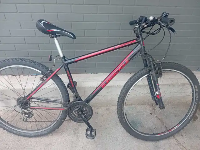 men's bike