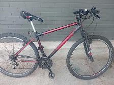 men's bike