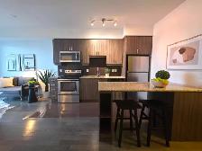 RENOVATED 1   DEN CONDO W/ PARKING & LOCKER PRIME RICHMOND HILL - Photo 3