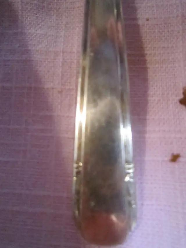 #65-42  ELAINE silverware set for 6