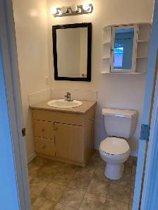 Apartment/Condo Located in Timberlea - Great Price You Will Not - Photo 5