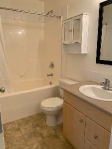 Apartment/Condo Located in Timberlea - Great Price You Will Not - Photo 6