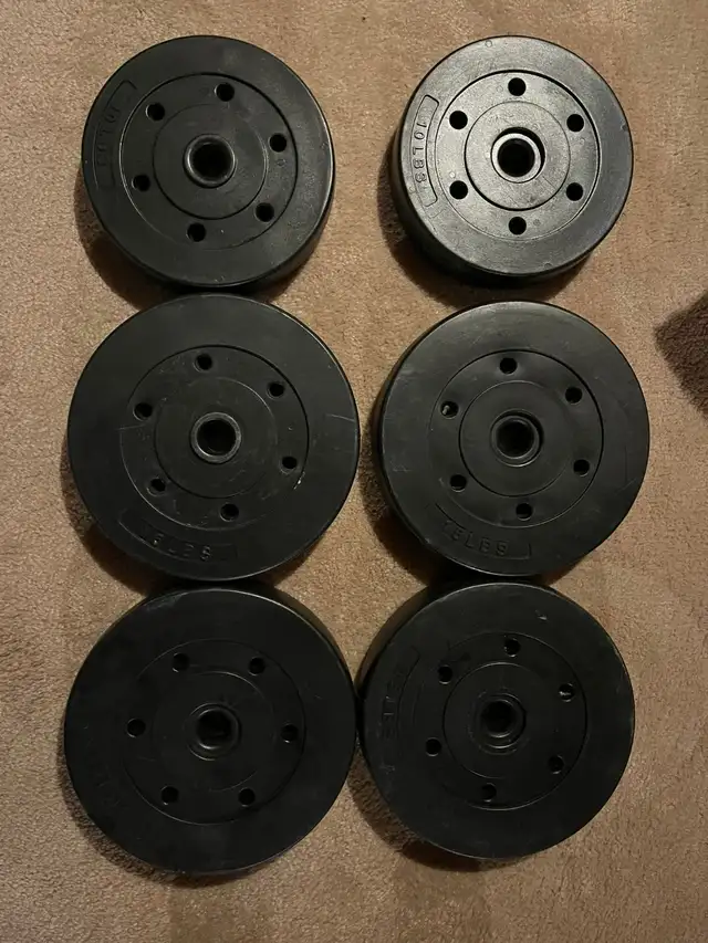 Weight Plates 15 LB & 10 LB