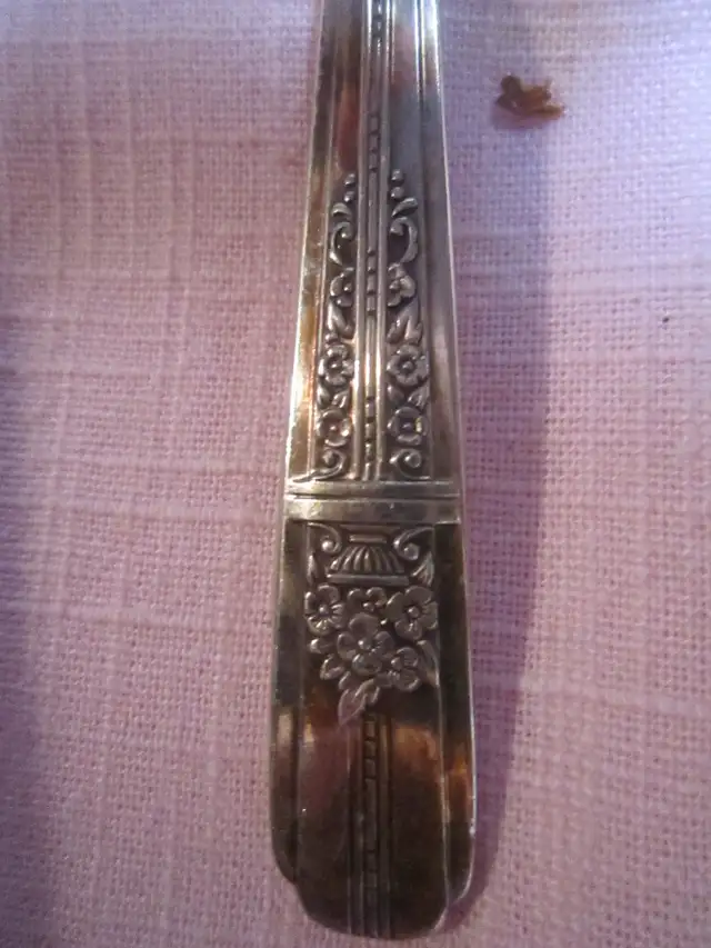 #16-19C   CELEBRITY ROSE silverware set for 6